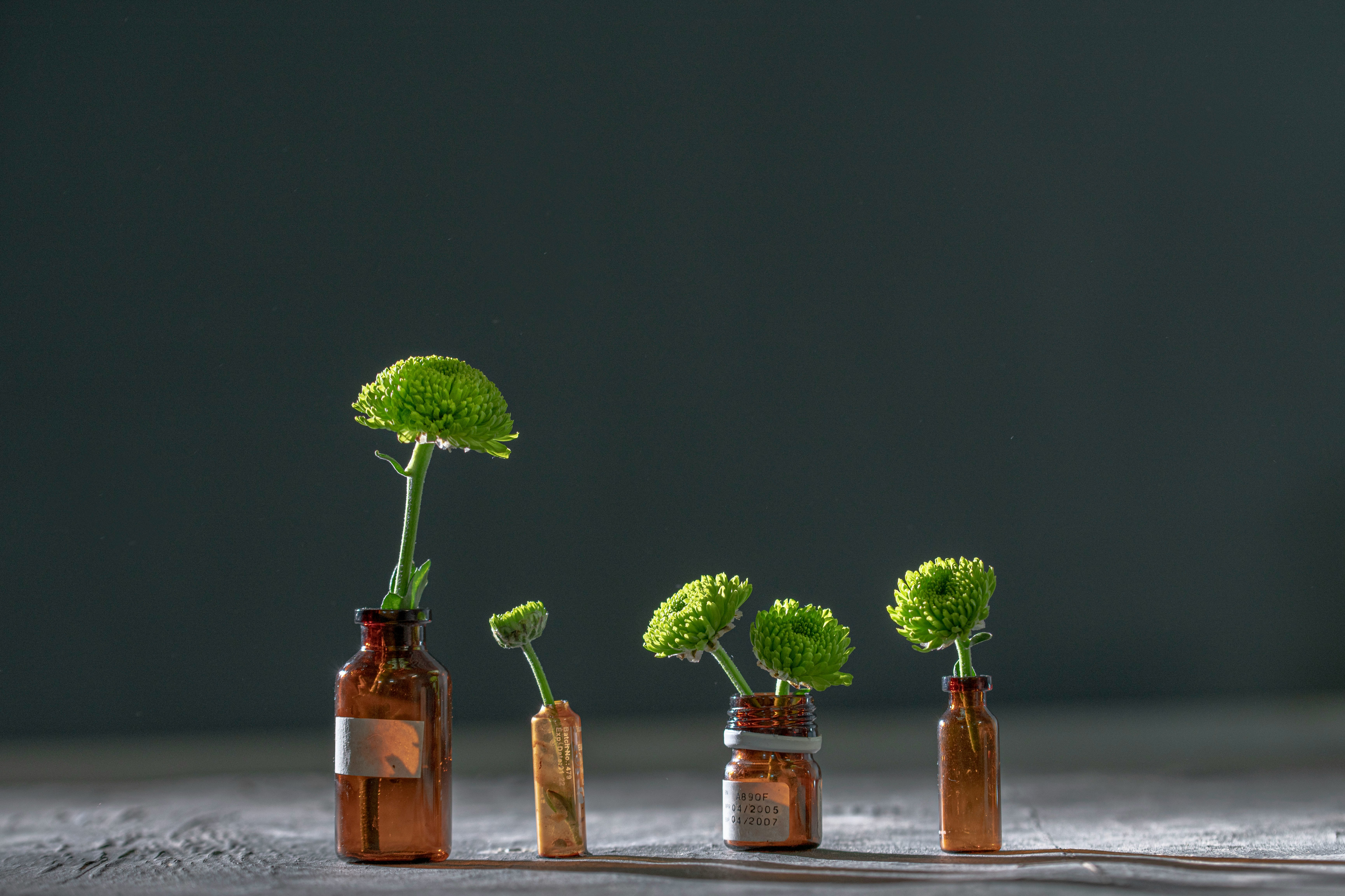 Naturopathie